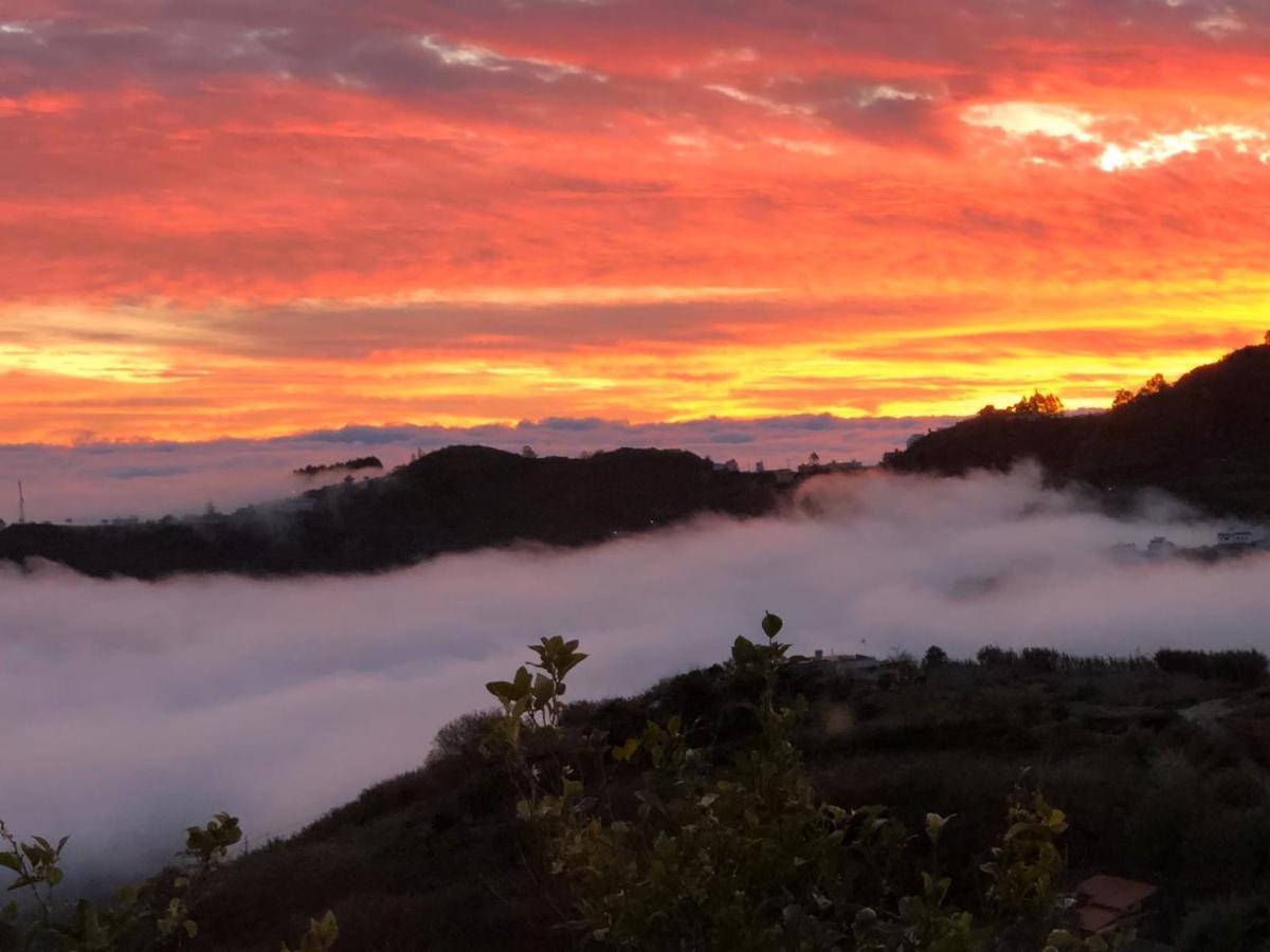 Casa Rural Con Bonitas Vistas Teror Eksteriør bilde